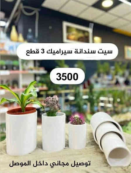 للحجز والاستفسار والتوصيل المجاني
واتساب ***********
