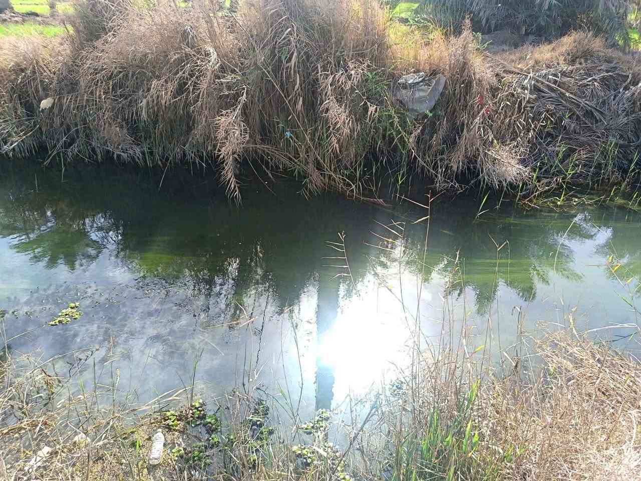 بستان للبيع 6 دونم ونص سند منفرد بسم شخص واحد وجه على تبليط مباشر طويريج منطقة شط طله سعر الدونم 130 مع المجال اي استفسار خاص


**إذا كنت صاحب هذا الإعلان وتريد حذفه لأي سبب، رجاءا أرسل رسالة إلى الدعم الفني**