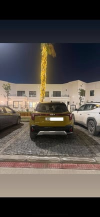 سيلتوس • ٢٠٢٤ • وارد امريكي حادثه