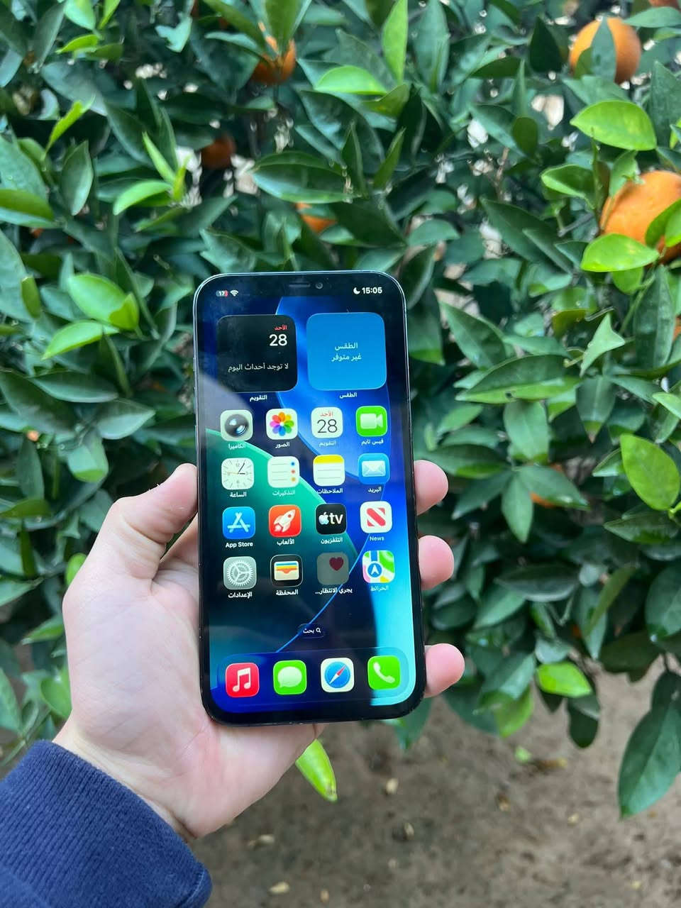 مو شراي لا تراسل ❤
مكاني موصل لا يوجد توصيل
12برو ماكس 
ذاكره 256
بطاريه 73بلادي قطاره 
مبدل شاشه نوعيه مضبوطه 
سعره (260) قفل 🔒أبل 230لا تعلق


**إذا كنت صاحب هذا الإعلان وتريد حذفه لأي سبب، رجاءا أرسل رسالة إلى الدعم الفني**