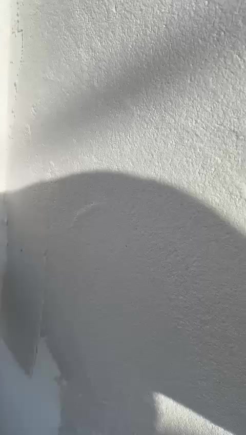 كادر مختص بأعمال اللبخ الفني والواجهات الحديثة 🏗️
إلى أصحاب المنازل والمشاريع في كافة أنحاء العراق، نعلن عن استعدادنا لتنفيذ كافة أعمال اللبخ والإنهاءات الخارجية والداخلية بدقة واحترافية عالية.
✅ اختصاصنا يشمل:
لبخ الثقل: جدران مستوية تماماً.
تقطيع الواجهات: تصاميم هندسية فخمة.
الجرارة والتشميع: إنهاء فني متقن.
النتر والطلس: جمالية ومقاومة للظروف الجوية.
⚒️ شعارنا: "دقة في الموعد.. وإتقان في العمل"
📞 للتواصل والحجز (اتصال + واتساب):
ابو محمود ‏‪0774 062 5115‬‏
👤 محمود أبو الشيخ: ***********
👤  أبو رفاعي: ***********
نصلكم أينما كنتم.. عملنا يرضي الجميع وبأسعار مناسبة
