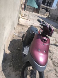 بوتين • شرط • مامفتوح