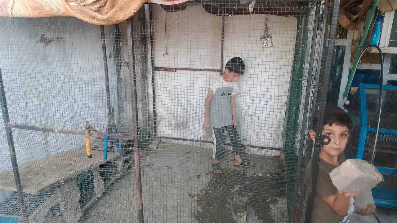 محميه طيور حب للبيع السعر 60وبي مجال


**إذا كنت صاحب هذا الإعلان وتريد حذفه لأي سبب، رجاءا أرسل رسالة إلى الدعم الفني**