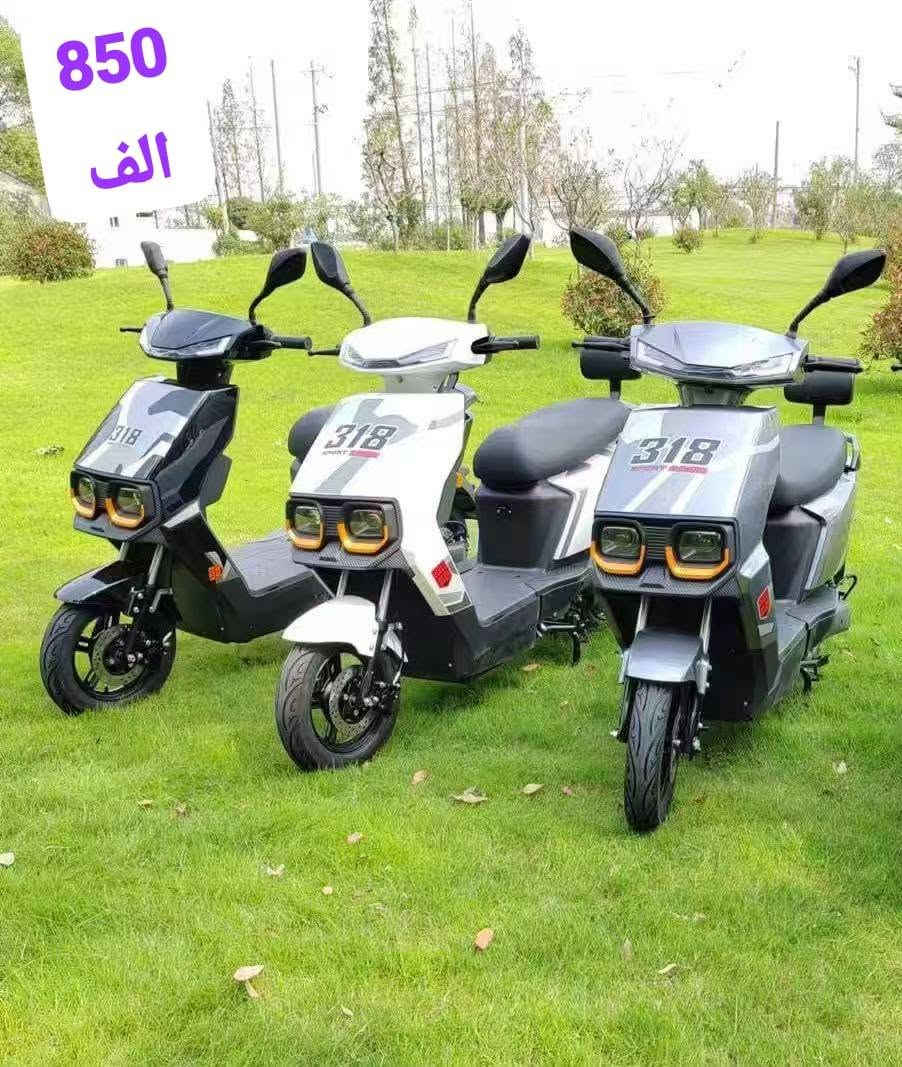 #تعلن #شركة #الكنز الباكستاني #تخفيضات 
توصيل #مجانا***********
مفاجأة💥: عرض خاص ومناسبة جداً
( كوفي شوب -المتنزهات - الاسواق - المطاعم )
🌟
💯 🔴 متوفرة الان بكميات لاصحاب الجملة 
ضمان حقيقي لمدة 12شهر ( سنة كاملة ) 💯
متوفر توصيل 🚚 ( لكافة المحافظات   ) 
لمزيد من الاستفسار يرجى مراسلتنا او التواصل على 
  👇🏻.                  
( متوفر واتساب  )
***********
📍العنوان : بغداد - كرادة
