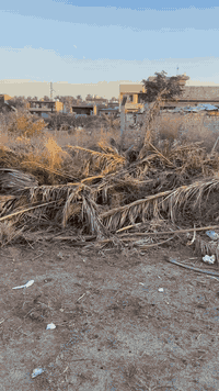 سلام عليكم كاع مساحه ٣٣٠ متر سعره مناسب اب ١٠٠ مليون وبيها مجال في شارع الكبيسي التصال ***********
