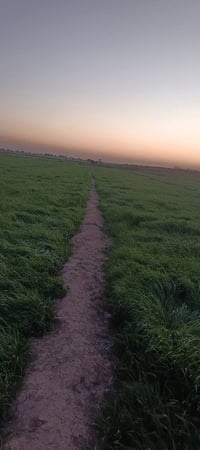 لواح زرع • أرض زراعية • للبيع