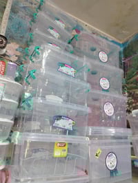 أحمد كلشي وكلاشي • كميره • ديكور منزلي