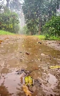 بغداد اليوسفية • ٥ دونم • طابو زراعي