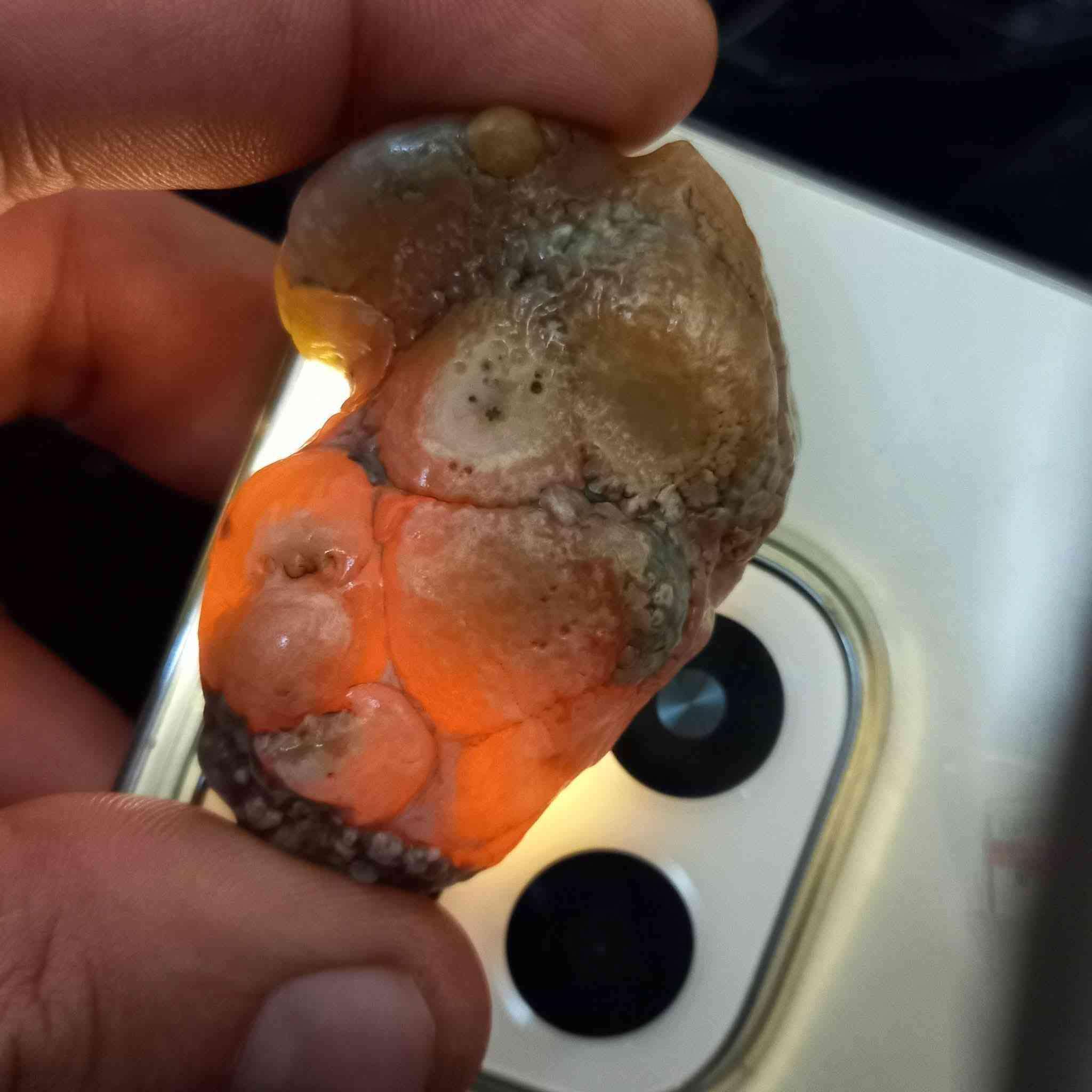 🐉 حجرة زوعة الحية الاصلي قطعة خامة ممجروخة خشنة وقديمة حيل وهاي صورها وين ما تردون شوفوها العنوان بغداد الأمين يوجد خدمة توصيل كافة المحافظات اي أستفسار أو سؤال واتساب او الاتصال بالرقم 
***********
