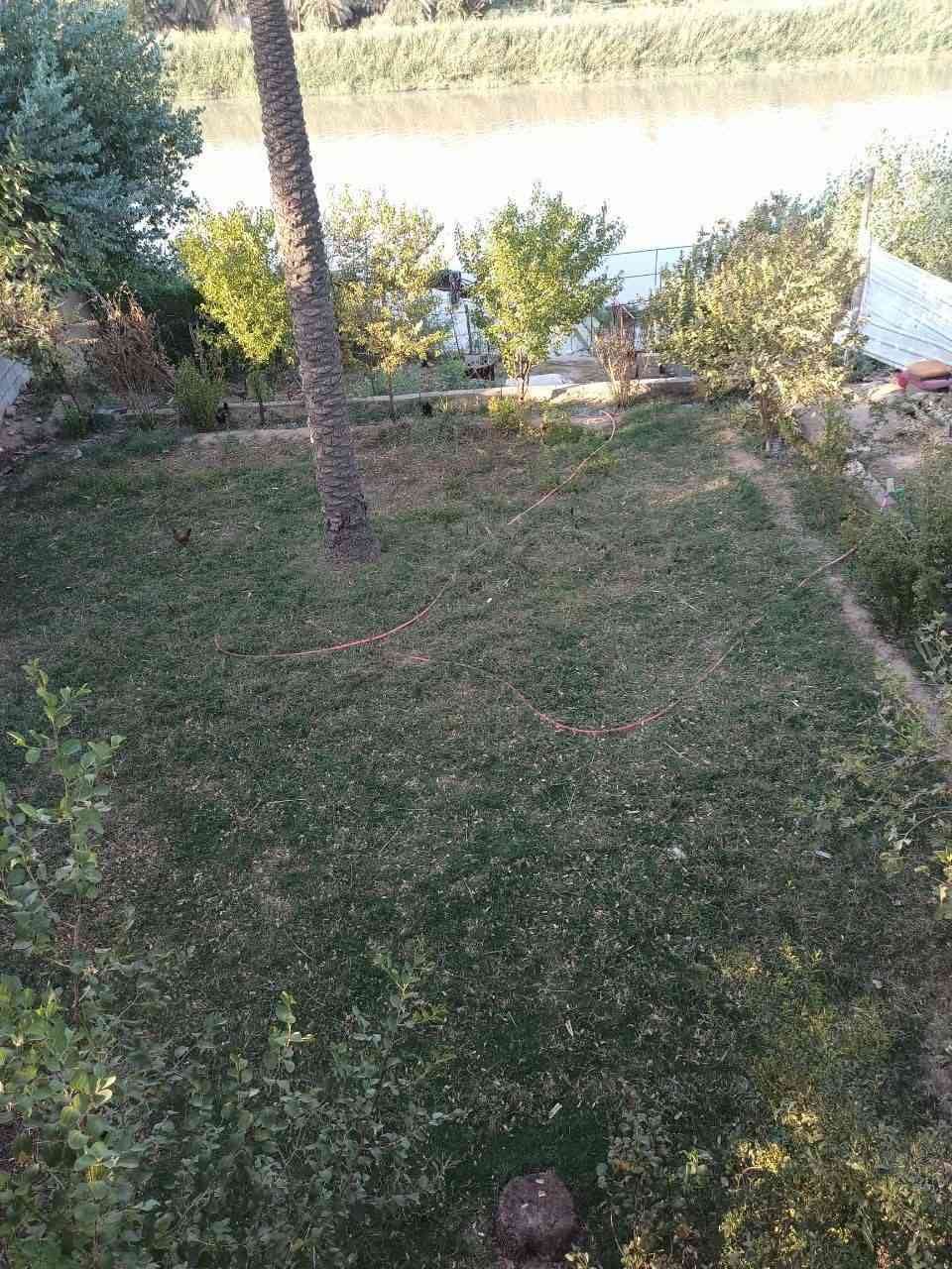 سلام عليكم ورحمه الله وبركاته نصف دونم على الشط طابو صرف 25 مع بيت بنيان جديد سنه 22  المساحه البيت 300 طابوك صب كونكريت الوجه مال نصف دونم 13 ونزال من سده لشط مع حوض اسماك العنوان ميسان بساتين دفاس قرب الاساله الماي ثانية الاستفسار ***********
