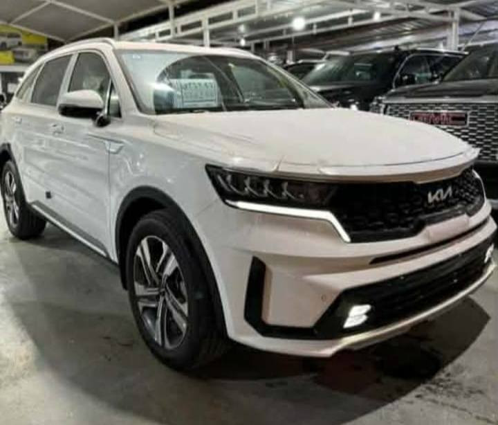 كيا سورنتو موديل 2023 ( خليجي ) اخت الزيرو
محرك 6 سلندر سبعه راكب 3 قطع تبريد 
اخت الزيرو ماشية 9 آلاف كفالة عامة من الزلغ 
شاشة جبيرة جي بي اس نضام الملاحه 
شفتات ستيرن إنارة محيطية سبع الوان 
كشنات كله كهرباء جنطه كهرباء لايت 
ليد 4 عدسات بك لايت لد سايد بريك 
دكمه اربع وضعيات قيادة ويل 19 رقم 
بغداد انكليزي بسمي شخصيا 
سيارة جديدة السيارة بالكارتون

ال💎ــسعـر 🟥 :: رقم (1) تلـقـائـي 📮

رقم صاحب ســـيـارة :: ***********
