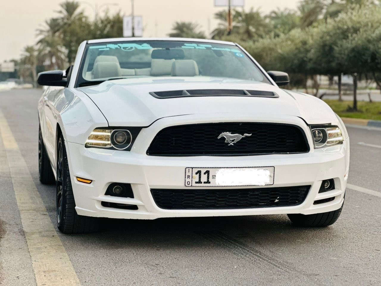 السلام عليكم اخوان
موستنك 2013بريميوم 
كير اوتو
ماشيه 73
فول مواصفات
داخل لون ابيض 
كشنات جلد
كشن كهرباء
دشبول 7 الوان
دشبول المنيوم
شاشه 
كامره 
عليه بنيد GT
عليه سبويلر GT
ويل 20 تو سايز
 رقم بغداد تحويل مباشر هزه جديده 
اخوان سياره بيه قطعتين صبغ وقطعه بنيد تحديث GT
لغود شواصي مكفوله 
 وعندي سونار بيه هم 
السعر 105 وبيه مجال
 ماعتقد اكو هيج نضافه بهيج سعر 
مكان السياره المنصور 14 رمضان
للاستفسار ( ***********)
