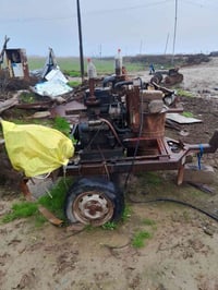 مولده البيع بستنين تولد 40انبير الاستفسار 07710157795