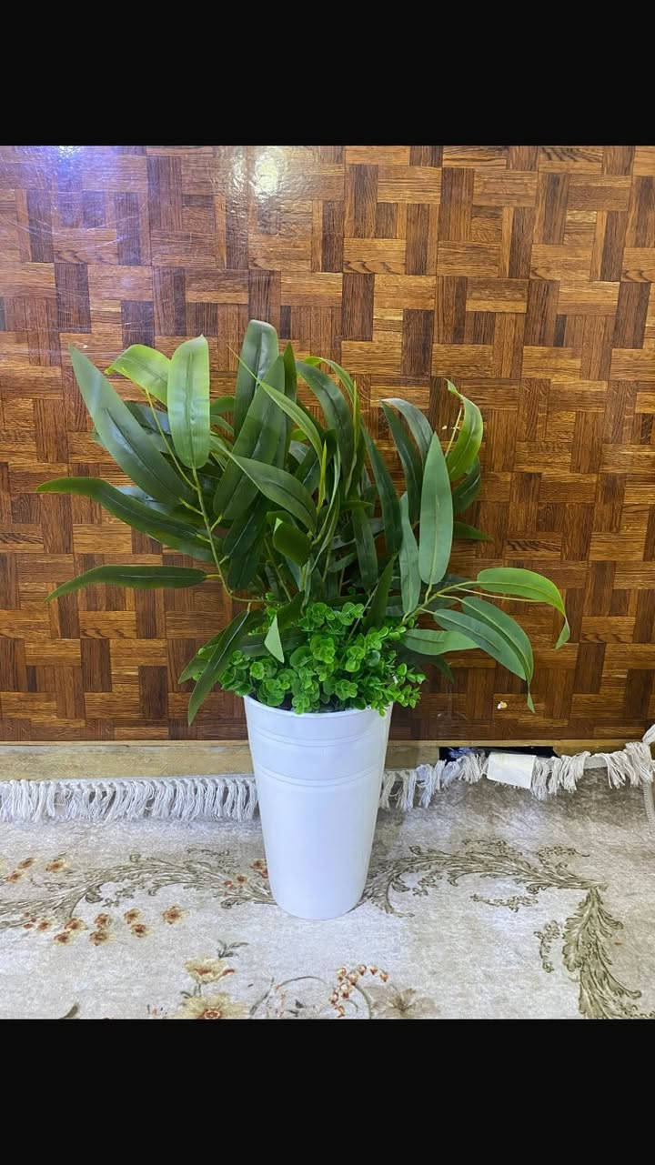 مرحبا مكلفه بالنشر ٤ سنادين اصطناعيه للبيع جديدات استخدام شهر


**إذا كنت صاحب هذا الإعلان وتريد حذفه لأي سبب، رجاءا أرسل رسالة إلى الدعم الفني**