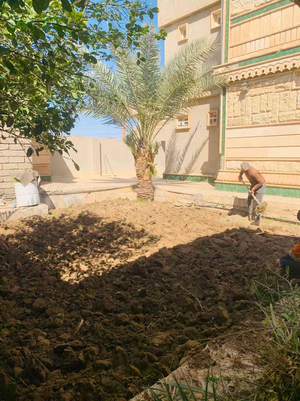 السلام عليكم اشتقل جميع الحدائق والبساتين  وتنظيف الحدائق من الدغل وتقليم الأشجار وزرع الشتل وقص الحدائق بل مكينه عل نمره وحدة وقص الأشجار الكبار  كادر متميز وسريع إتصل رقم الهاتف***********
