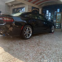 جارجر فول • كفاله عامه • ٢٠١٩