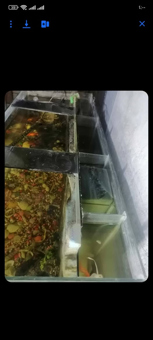 غراض كلمن سعر


**إذا كنت صاحب هذا الإعلان وتريد حذفه لأي سبب، رجاءا أرسل رسالة إلى الدعم الفني**