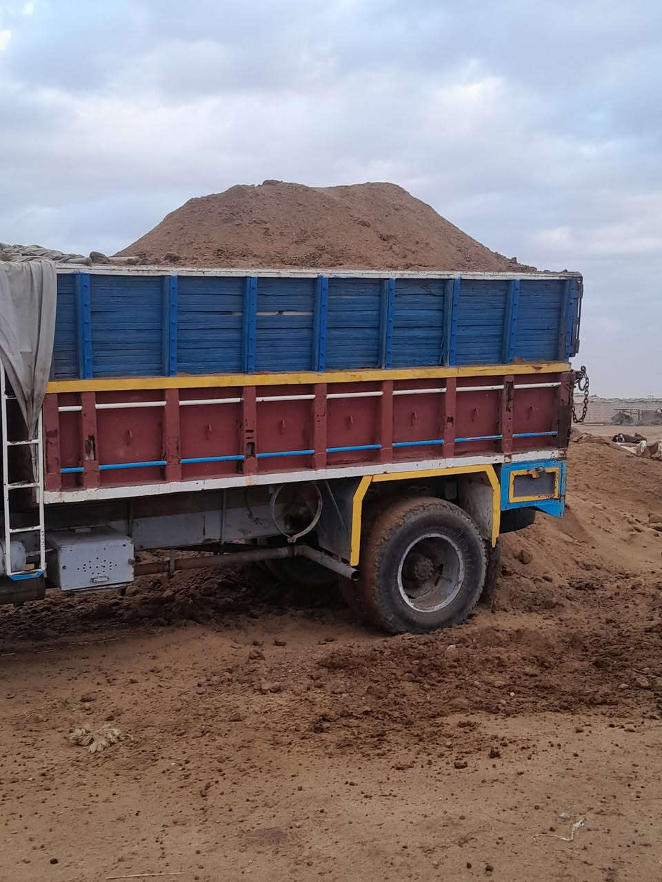 السلام عليكم يوجد دمن غنم ودمن هوش
اليريد يتصل وبي خير ويدلل توصيل ديالى وبغداد
*********** ***********
