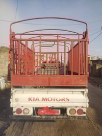 محجل نظيف للبيع.                 07893987802