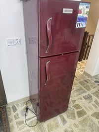 كنود • شغاله فول • بغداد الغزاليه