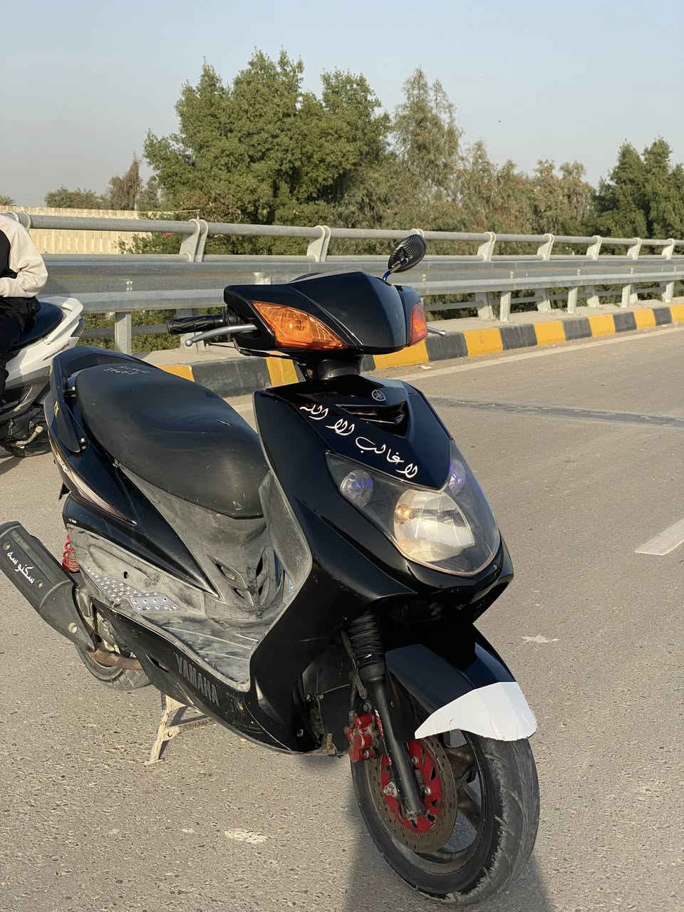 سكنس فحل للبيع استفسار عله هاذ رقم***********
