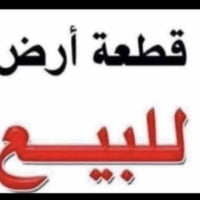 ال ابو حجر • 600م • أقرار محكمة