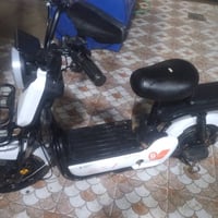 دراجة شحن • حجم ١٤ • موديل ٢٥