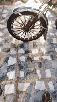 سفانه • موديل 25 • صويره