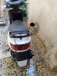 دراجة فراشة • طافية • البصرة