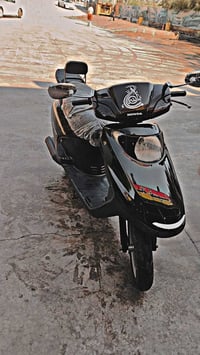 سبيسي ياباني • كوت خاجية • للبيع