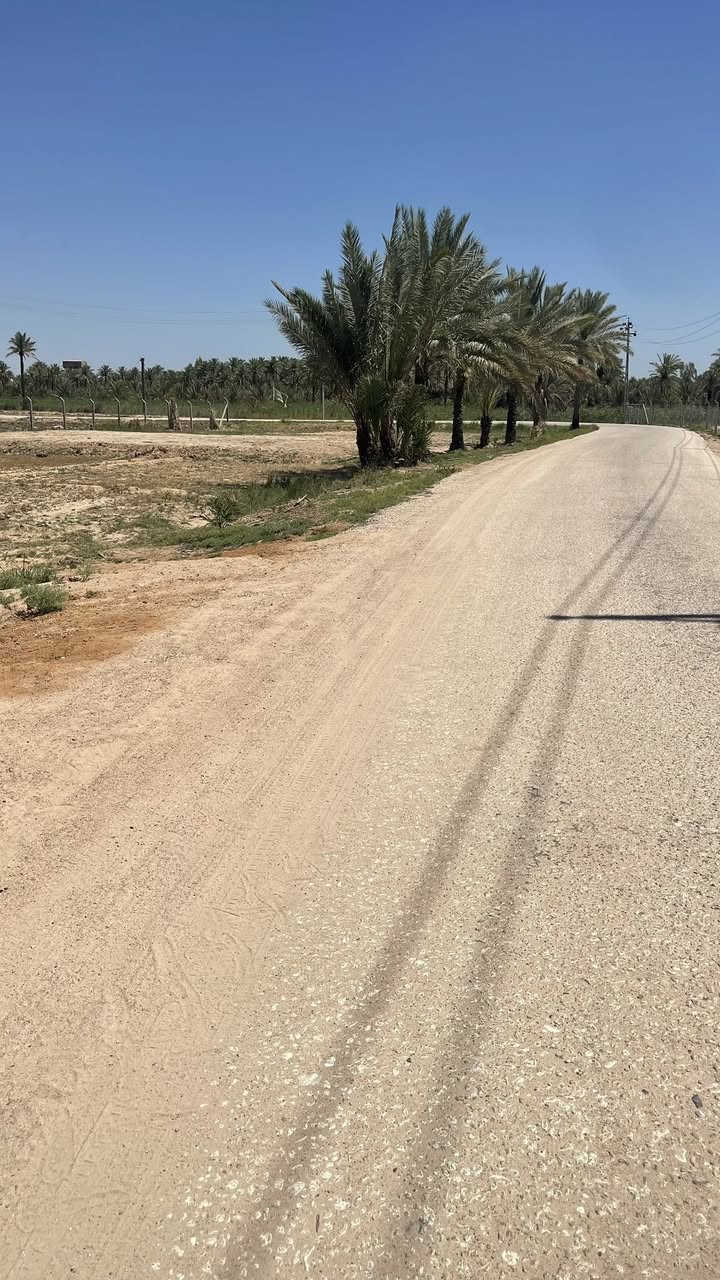 1400الف متر     للبيع طابو 25 تحويل أسهم بأسم المشتري كافة الخدمات العنوان كربلاء منطقة الدويهيه خلف المعهد الفني /*********** /***********
