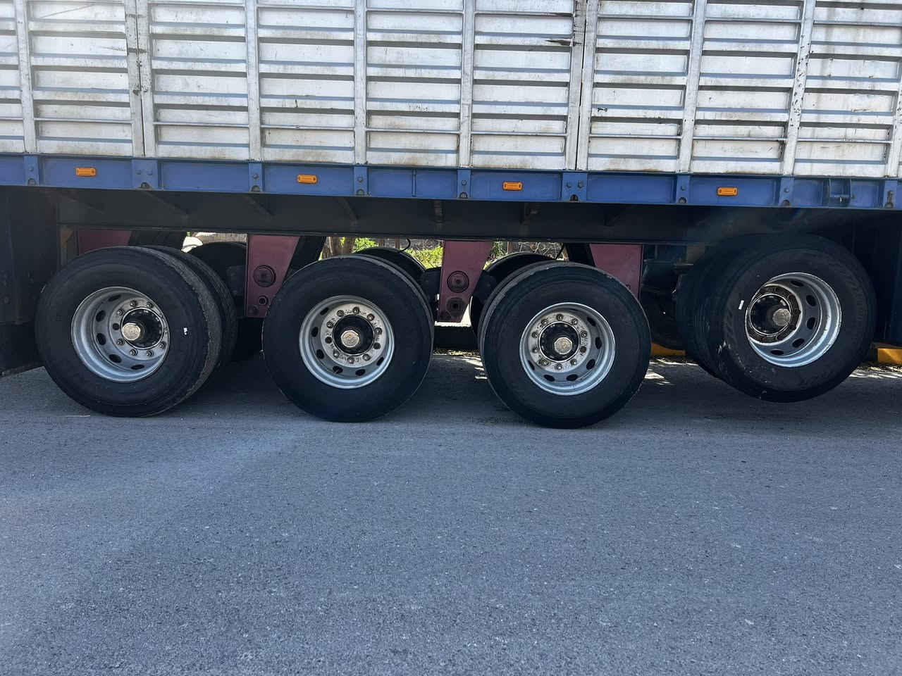 السلام عليكم عربانه حداديه شاصي 16 دناكير 14 صيني شريط 60 جتف 7 طول 13 ارتفاع 2 متر تخم تاير جاهزا للعمل مكفوله كفاله عامه


**إذا كنت صاحب هذا الإعلان وتريد حذفه لأي سبب، رجاءا أرسل رسالة إلى الدعم الفني**