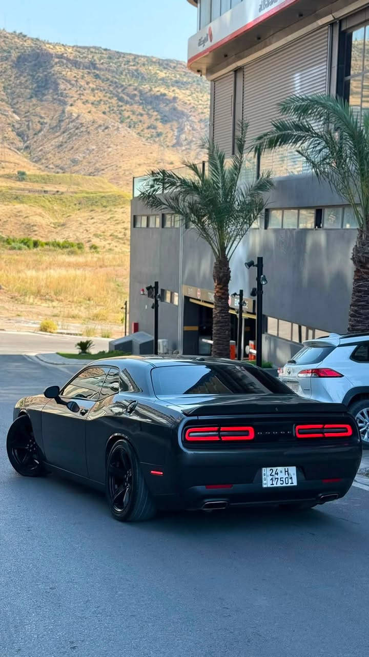 Dodge challenger 2020 SXT 
صبخ بس بونيد صبخ بدون شاصي 
لون نفطي
محرك ٦ سلندر بدون اي شي كير محرك شرط
ارباك سيستم 
مواصفات كشن جلد كاميره بصمه 
ماشية ٨٣ميل 
١ قطعه صبخ شرط بدون دواخل 
مكاني دهوك 
تبريد كهرباي شرط 
رقم سنوي جديد بسمي تريد تحويل+ وكاله شرط
مسج مابي 
سعر١٦٤ ورقه 
مكان دهوك 
رقم شاصي 2C3CDZAG7LH223173


**إذا كنت صاحب هذا الإعلان وتريد حذفه لأي سبب، رجاءا أرسل رسالة إلى الدعم الفني**