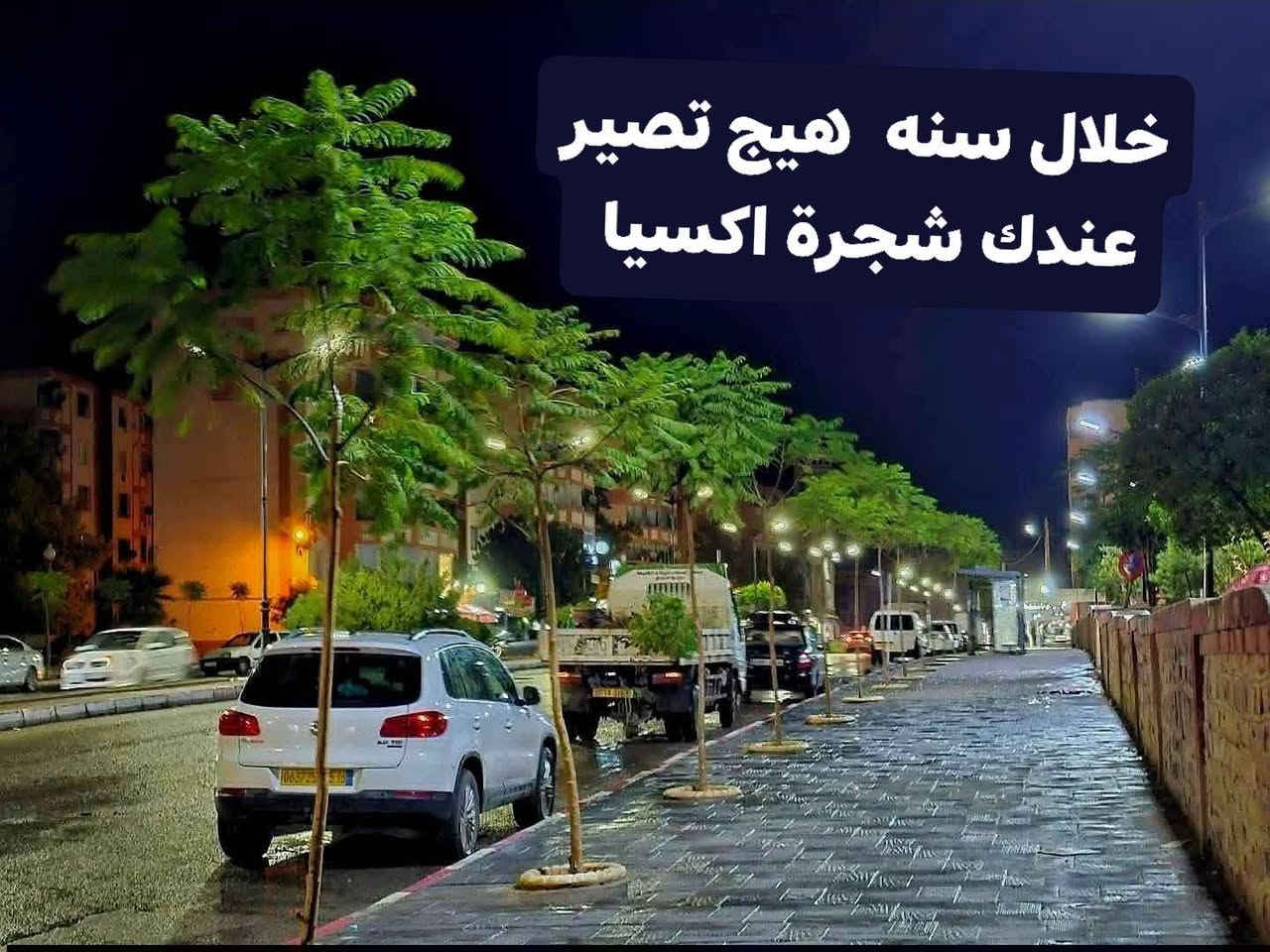إذا عندك مساحة لا ضيع الوقت 

سعر شجرة اكسيا الفين دينار ارتفاع 90

البيزيا ساحل جهنميه متسلقه دفله 

كل شجره تحتاج شبك داير ما داير المتر الف او نص 

نحفر المكان نجيب الك شتل الباب البيت إلي يزرع كميه كبيره اله خصم كل المواد مع العمل علينه فقط عليك التواصل على خاص ومن الله التوفيق


**إذا كنت صاحب هذا الإعلان وتريد حذفه لأي سبب، رجاءا أرسل رسالة إلى الدعم الفني**