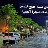 شجرة اكسيا • جهنمية متسلقة • زراعة وتوصيل