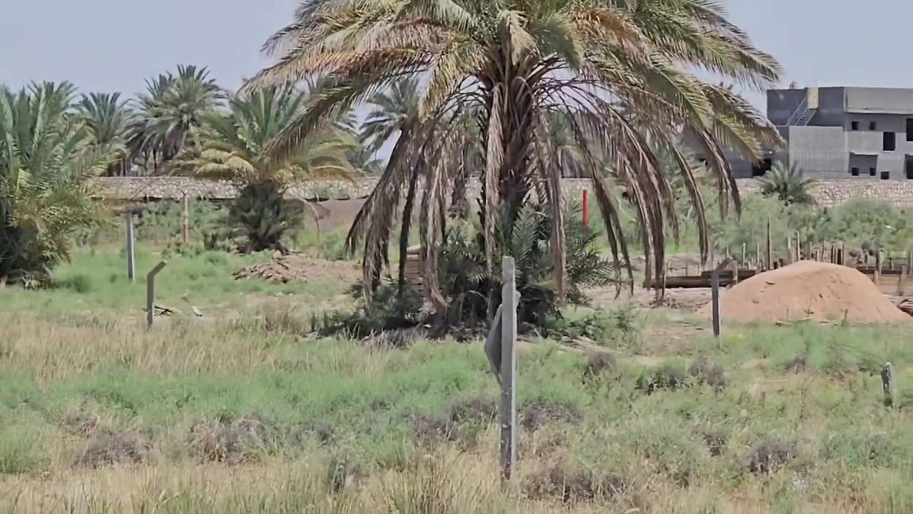 توجد قطعة ارض للبيع في  بابل التاجيه طابو صرف زراعي  قرب جامعة بابل تبعد عن الجامعه 1كيلو  كل الخدمات متوفره المساحة 325متر لتفاصيل موجوده بل فيديو للإستفسار يرجى مراسلة الصفحه او الاتصال بل رقم 
*********** واتساب م
***********  واتساب م
