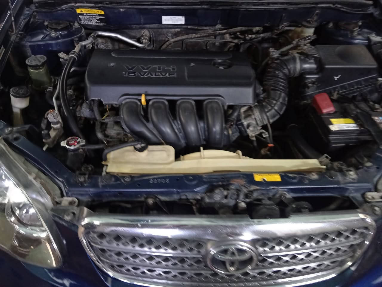 كورلا نحلة 2008 بيهة بنيد وجاملغ فقط مصبوغة عام اثر جراد  رقم بغداد الجديد باسمي  تحويل ثاني يوم صدر امامي خلفي جديد بيهن كارت ضمان  تخم تايرات جديد باتري جديد  سيارة كير محرك لغد شاصي كفالة ومابيهة كل نقص كاملة للاخير سعر 88وبيهة مجال السيارة باسمي سنوية لل29 سيارة شاشة ايباد بلوتوث تبريد ثلج تدفئة كاملة من كلشي ماناقصهة برغي مكانهة واسط صويرة   ***********
