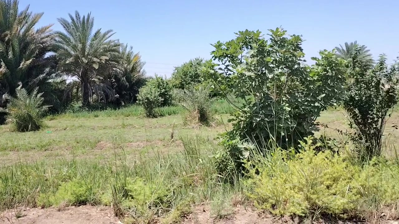 السلام عليكم دونمين ونص التاجي منطقه القادريه قريبه عله سريع التاجي للستفسار اتصل  ***********

