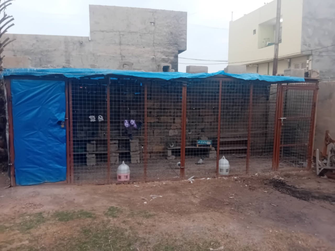 سلام عليكم شباب متاح قفص عرض ٦متر واجهتين كل واجهه ٣متر يتفصخ وينشد براغي رتفاع ٢ متر عرض ١٧٥ سعر ٢٠٠ الف بي مجال شراي يجي خاص او يتصل *********** مكاني سامراء
