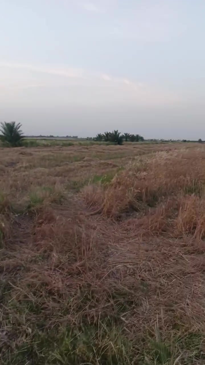كاع ٣ ونص دونم للبيع عقد على ١١٧ الواجه ٣٠ م النزال ٢٠٠م  العنوان واسط الحفرية شويفي قريبة عن بيت ريس  تبعد عن شارع بغداد كوت كيلو  عن تبليط ول السده ٥٠متر  تفاصيل بالتصوير  السعر ٥٠ مليون وبيهة مجال  بشرط تتكاتب ويا ابو  العقد على المباشر ويطيك نسخه من العقد  ضمان حقك ولك حق تبني بيوت تزرع بيها ماكو كله اعتراض منطقه امينه بمعنى الكلمه وناسها طيبين دير الشمر معروفه 
الاستفسار *********** احمد الشمري
