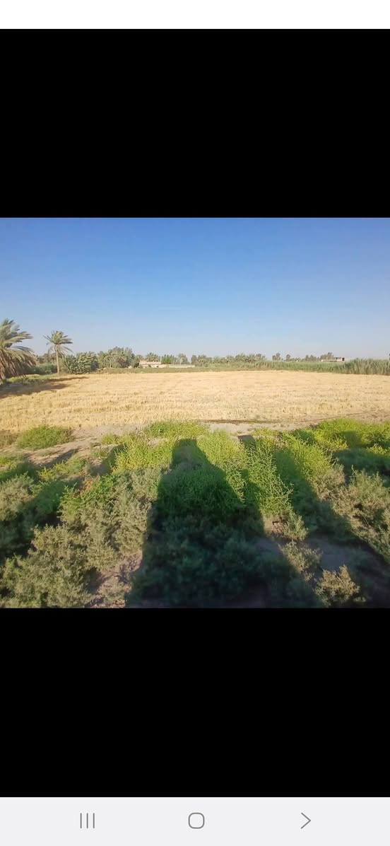 سلام عليكم ارظ زراعيه 7 دونم معه بيت معه حقل حلال تبعد عن السوق كلوين ركن عله شارع قضاء جبله حي الفرات فرع المصلخ رقم الهاتف ***********
