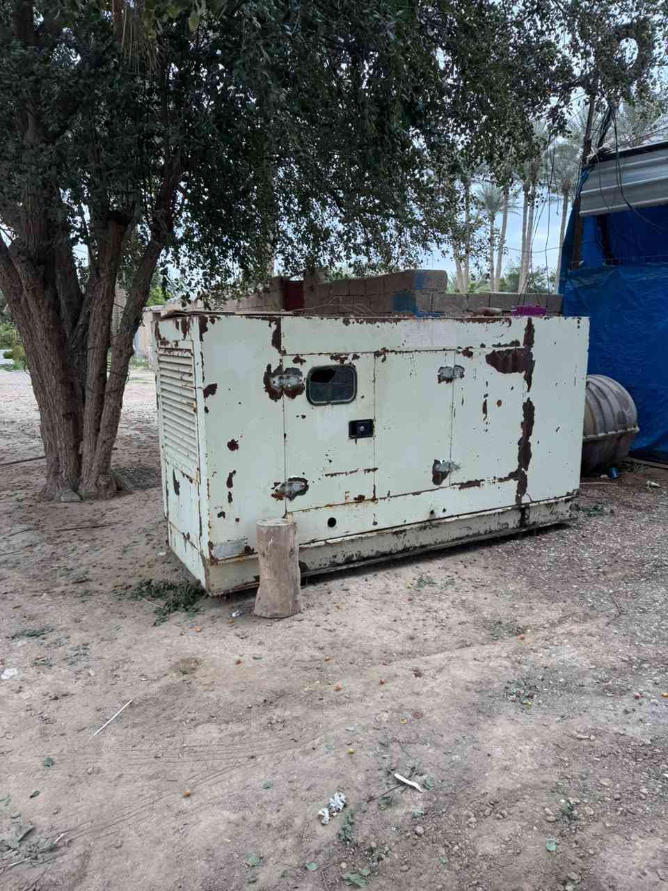 السلام عليكم
كمنز أمريكي للبيع 4 بستم راس التوليد 37  كيفي

العنوان بغداد ابو غريب 

للاستفسار والاتصال ع رقم الهاتف ***********
