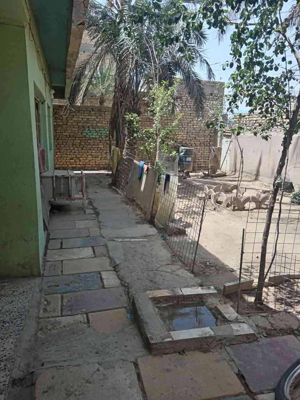 السلام عليكم. دار للبيع في الشطره شارع الاطباء على الشارع مباشرة يصلح مركز تجاري او سكن المساحه 300متر البيت طابو صرف اربع غرف نوم صيحات داخليه او خارجيه استقبال حديقه كبيره مناور للستفسار الاتصال على الرقم ***********
