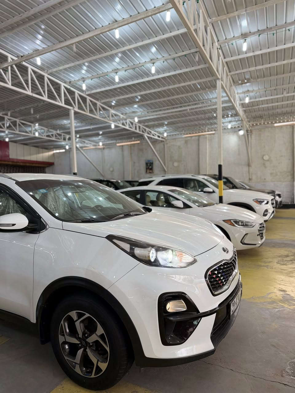 #معرض_بيت_شريجي_للسيارات🧿
سبورتج  (2019) خليجي كويتي اصلي  
مكفولة عدا قطعة وحده صبغ الكويت بدون ضربةرقم واسط مشروع وطني باسمي  لسيارة جاهزة من كلشي
ماشية71الف حقيقي شرط الفحص والسياره مصروف عليها هواي وجاهزة ع اخر حباية
نظام ترحيب بالسياره عن قرب..
محرك 2000
تبريد قطعتين...
ثلاث انظمه قياده
نظام تشخيص العطل عن طريق الشاشه...
يدات نيكل..
لدات باليدات 
لدات بل مري ترحيب
مري ترحيب
لدات أماميه لايت زنون  عالي ناصي منظومة
بك لايت لد 
اشاير بالمري... 
٥ ويل كب...
شاشة كامرة دوارة
حساس خلفي 
العنوان  الكوت معرض بيت شريجي حي لحكيم مجاور محطة الواسطي 
للاستفسار 
*********** حسنين
