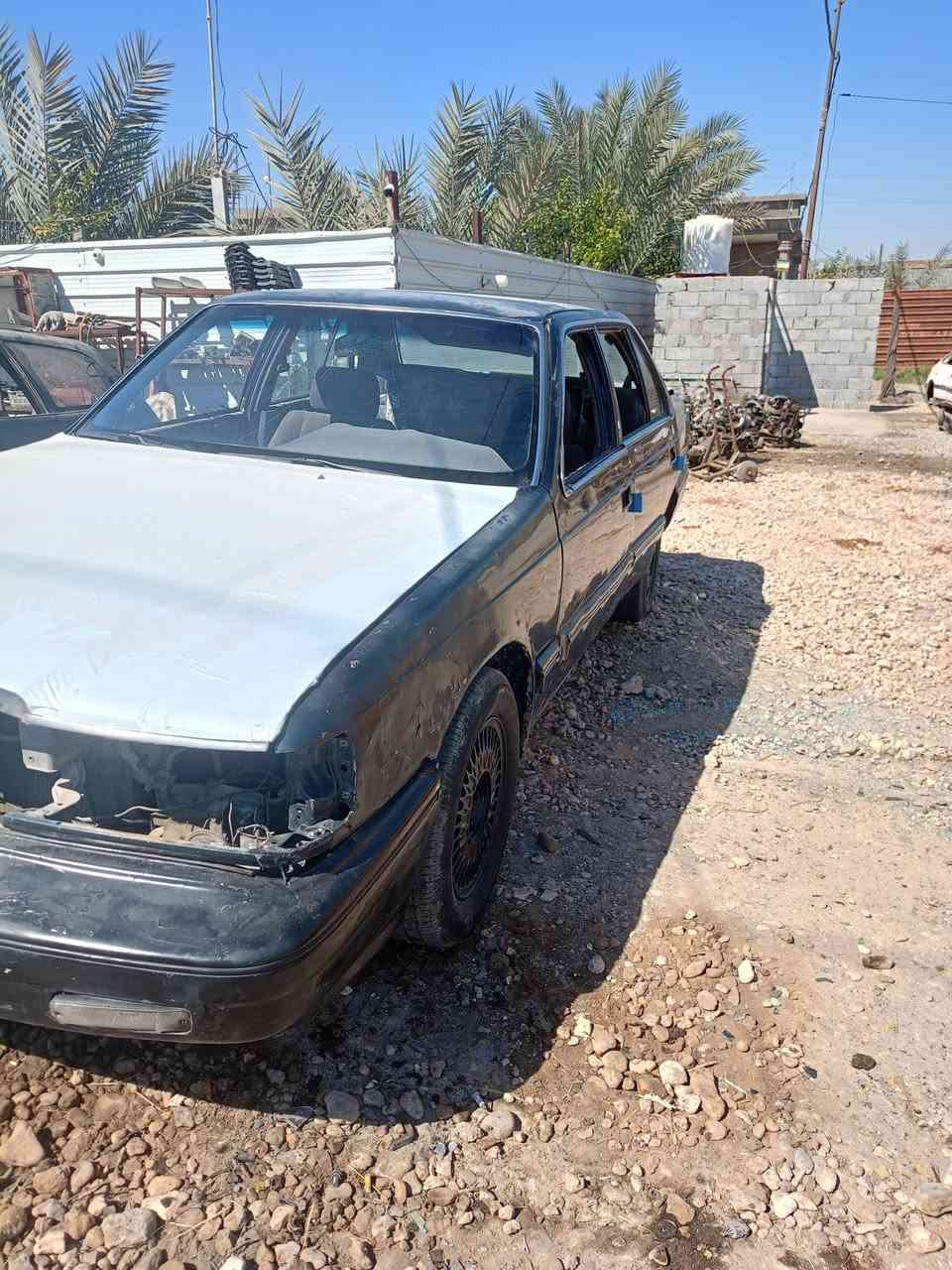 السلام عليكم تفصيخ بونتيشا العنوان بابل المسيب طريق ابو لجاسم الستفسار تصل علا هاذ الرقم ***********
