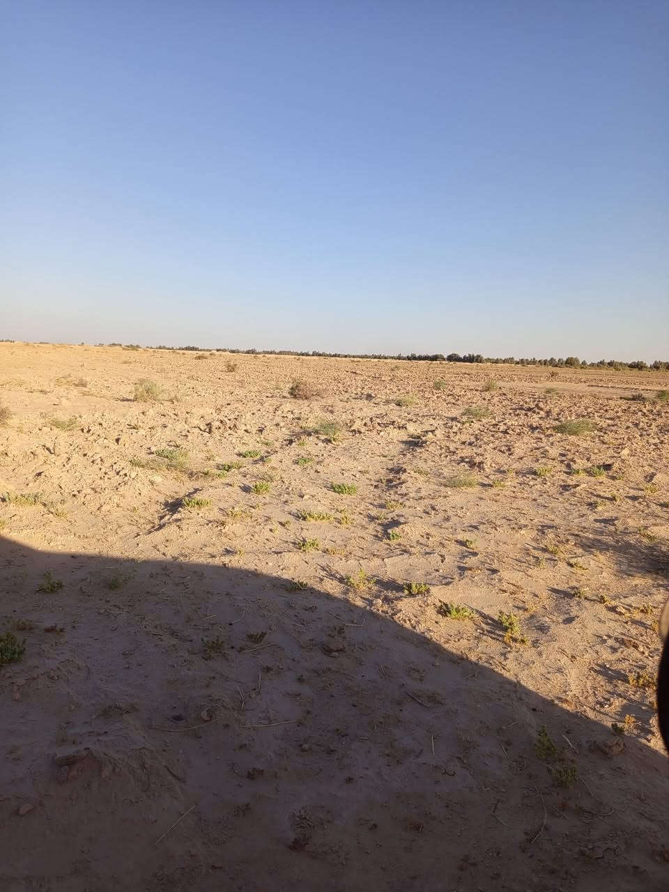 كالع اللبيع 18دونم عقد بيه بيتين وبير رتواز مزروعه جت موقعه بحر النجف تبعد عن شارع كار 300متر لاستفسار ***********
