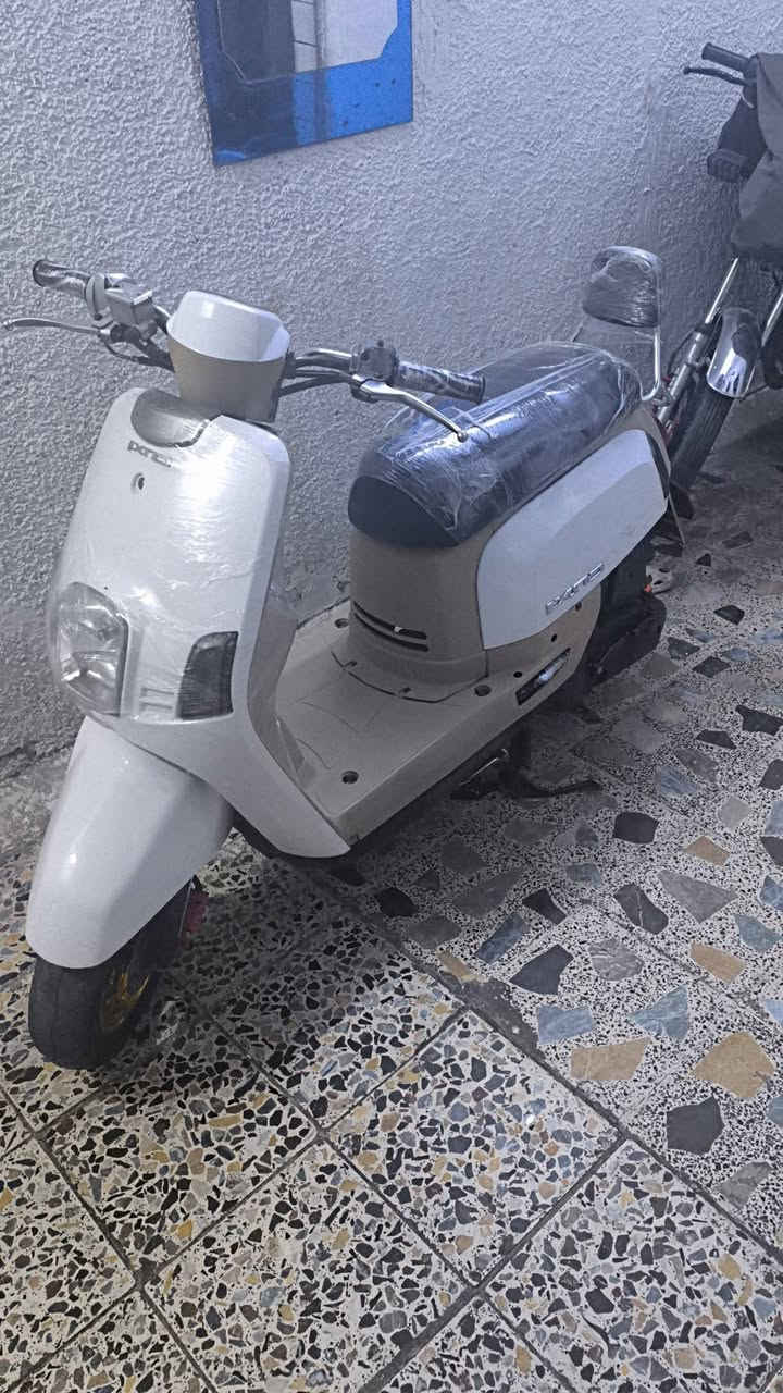 سلام وعليكم دراجه ما مفتوحه المكينه ولا مره بس الكفرات مالته تجاري ودراجه شوفت عينكم كلش نضيفه ما متعبه ابد بس مستعجل علا بيعته   وسعره 800وبيه مجال ولمكان بغداد صليخ ورقم الهاتف هاذ ***********

