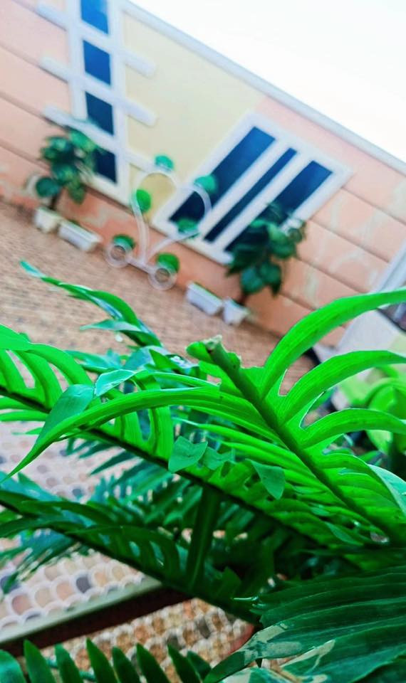 سلام عليكم بيت للبيع في حي القدس المساحة 130 متر حديقه خارجيه.صحيات عدد3خارحيه .وبالطالق الاول وبالطابق الثاني. واساله صغيره مخزن فوك بالطابق الثالث للاستفسار رقم الهاتف ***********واتس
