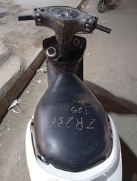 ثعلب نوزل • مكفولة • الحريه