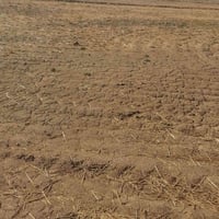 دونمين وجهيته ٤٠ متر ع الشارع العام مباشر عله طريق السنيه جهت الزوار ا...